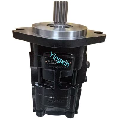 X1CS0415026C42A1K3B0X3BC Twin Gear Pump Construction Machinery Components